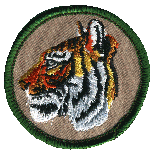 2 inch round embroidered WB patrol patch Tiger